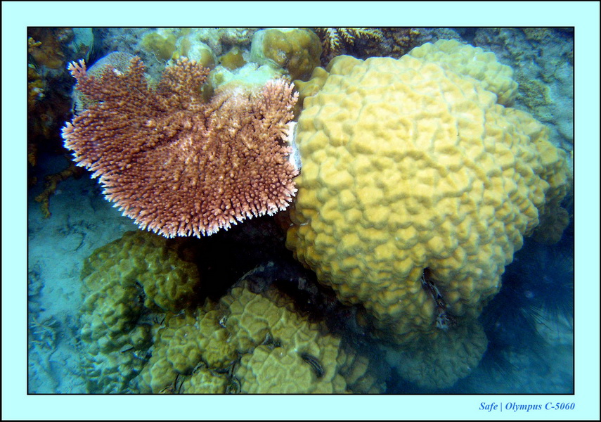 2005 - 08 - Perhentian  - 055.JPG